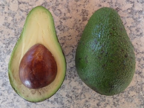 Avocado 'Fuerte'