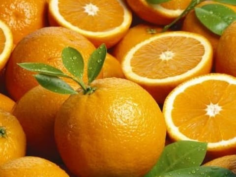 Citrus orange 'Harwood Late'