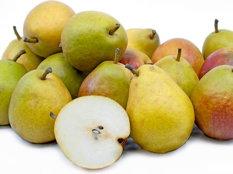 Pear 'Seckel/Belle du Jumet'