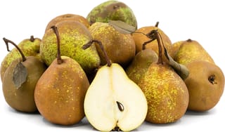 Pear 'Williams' Bon Chrétien/Winter Nelis' fruit, a pile of russeted green-brown pears with dark stalks and one halved to show creamy flesh and a seed.