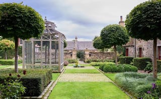 Acer platanoides 'Globosum' (Norway Maple) trees with rounded, dense green crowns on straight trunks, lining a formal garden with clipped hedges and stone cottages.