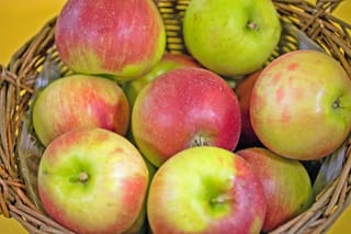 Apple 'Waltz' fruit heaped in a woven wicker basket, with green-yellow skin flushed red and speckled, against a yellow background.