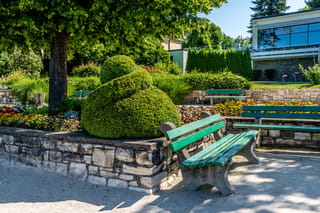 Buxus sempervirens (Common Boxwood) clipped into rounded topiary mounds on a stone retaining wall, beside green park benches and colourful flower beds.