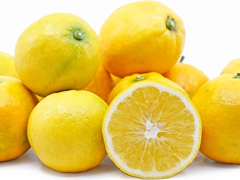 Citrus 'Lemonade'