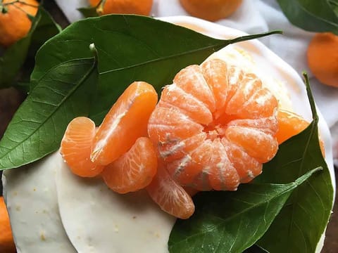 Citrus mandarin 'Satsuma'