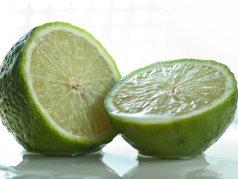 Citrus lime 'Bearss'