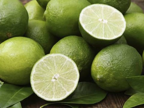 Citrus lime 'Tahitian'