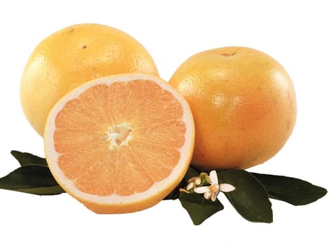 Citrus grapefruit 'Golden Special'