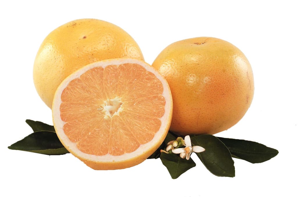 Citrus grapefruit 'Golden Special' grapefruit: two whole golden-yellow fruit and one halved to show pale orange flesh, with dark green leaves and a white blossom.