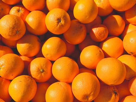 Citrus orange 'Parent Navel'