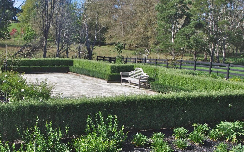 Clipped korokio (Corokia x virgata 'Geenty's Green') hedges enclose a paved courtyard with a wooden bench, with a dark fence and trees beyond.