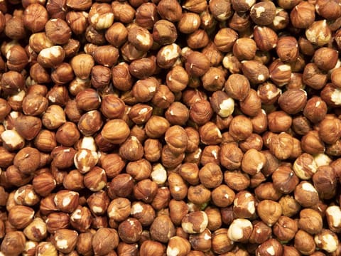 Hazelnut 'Barcelona'