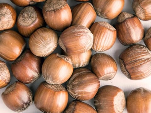 Hazelnut 'Merveille de Bollwiller'