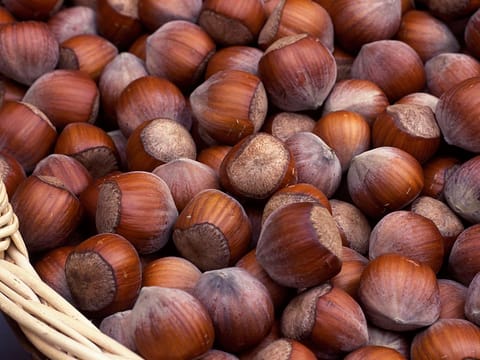 Hazelnut 'Whiteheart'