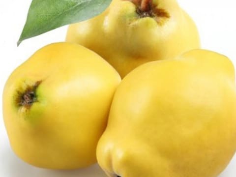 Quince 'Pineapple'