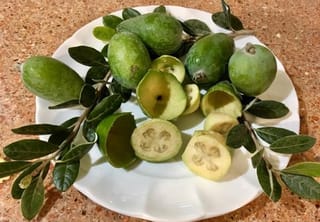 Feijoa sellowiana 'Apollo' fruit, whole and halved to show pale flesh, on a white plate with dark green leafy stems.