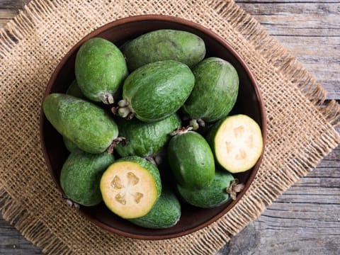 Feijoa sellowiana 'Mammoth'