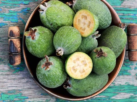 Feijoa sellowiana 'Unique'
