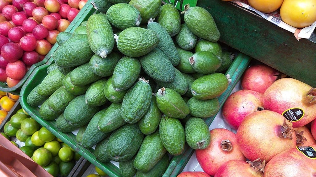Feijoa sellowiana 'Wiki Tu' feijoas, oval green fruit with bumpy skin, piled in a market crate beside pomegranates and limes.