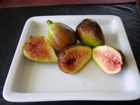 Fig 'French Sugar'