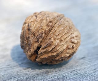 Juglans nigra (Black Walnut) nut with a deeply ridged, rough brown shell and a central seam, resting on a weathered grey wooden surface.