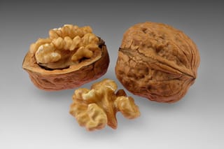 Juglans regia (English Walnut) nuts on a grey background: one whole wrinkled shell, one split shell holding a kernel, and a loose kernel half.