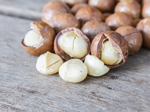 Macadamia 'Beaumont'