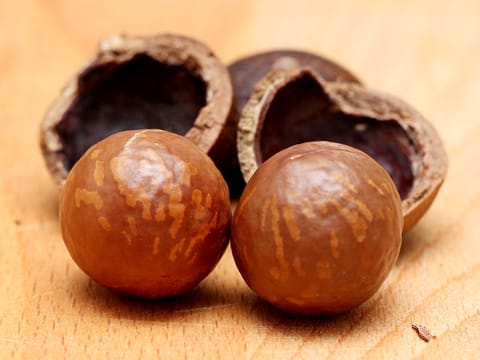 Macadamia 'TM2'