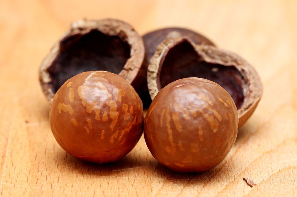 Macadamia 'TM2' nuts: two round, glossy brown shells with tan streaks in front of two cracked open shell halves, on a wooden surface.