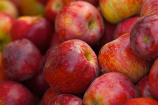 Apple 'Braeburn' (Malus domestica) fruit piled together, with red skin streaked in orange and yellow and small pale speckles.