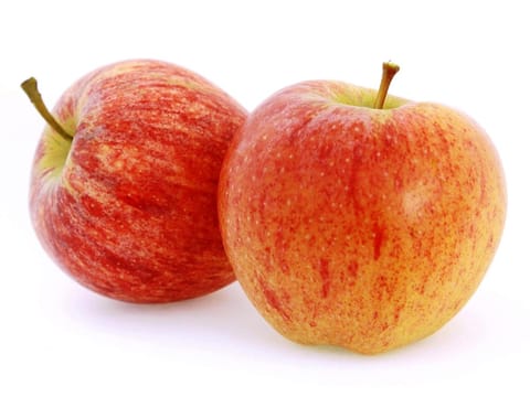 Apple 'Gala'