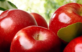 Close-up of glossy deep red Apple 'Galaxy' (Malus domestica) fruit with small pale speckles, short stalks and green leaves against a soft blurred background.