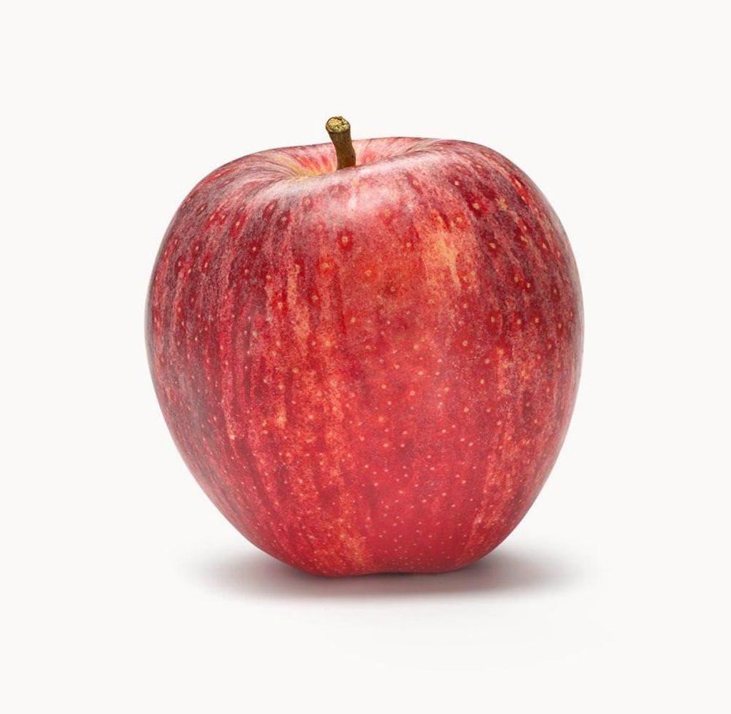 Malus domestica 'Royal Gala' apple, a single red-streaked fruit with small pale lenticels and a short brown stalk, on a plain white background.