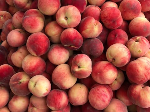 Peach 'Scarlett O'Hara'