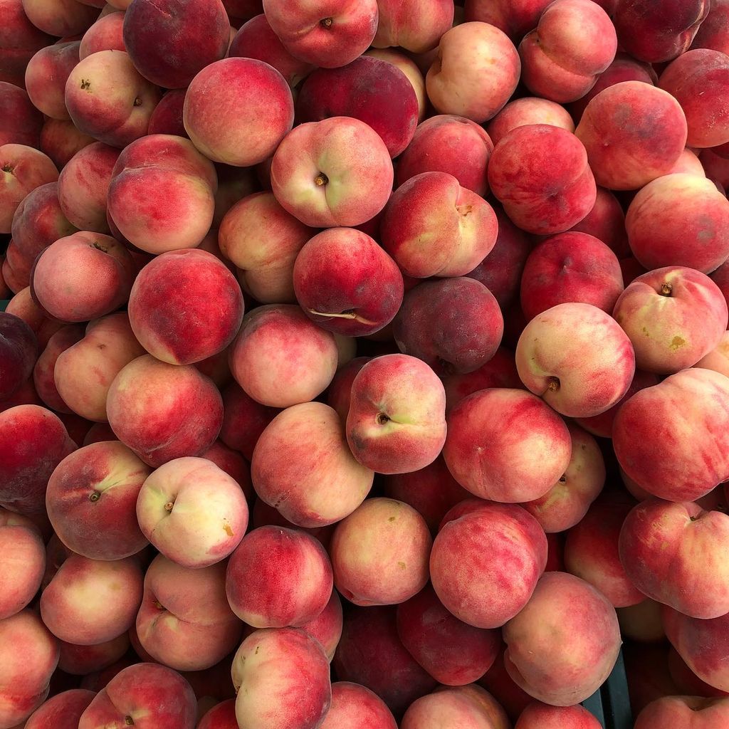 Peach 'Scarlett O'Hara' fruit piled together, round peaches with pink-red blushed skin over cream-yellow background and short stalk scars.