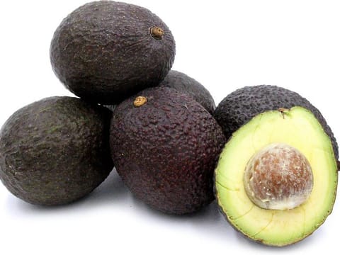 Avocado 'Hass'