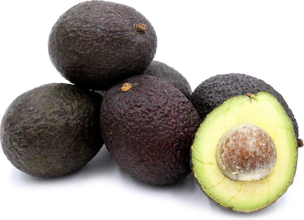Persea americana 'Hass' avocado fruit with dark, pebbly purple-black skin, piled together beside a halved fruit showing pale green flesh and a brown stone.