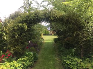 Podocarpus totara (tōtara) trained into a leafy archway over a mown grass path, with red-flowered and hosta-like plants either side in a garden.