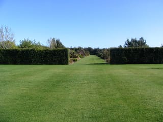 Two clipped dark green Podocarpus totara (Tōtara) hedges frame a mown lawn path leading between mixed garden borders under a clear blue sky.