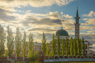 Populus 'Chiba' poplar, a row of narrow, upright deciduous trees with bright green foliage lining a fence in front of a domed mosque and minaret under a cloudy sky.