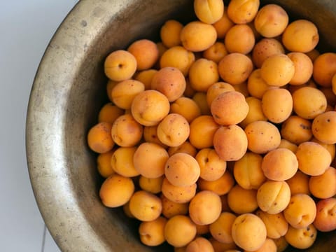 Apricot 'Sundrop/Trevatt'