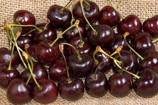 Prunus avium 'Dawson' sweet cherries with glossy deep purple-black skin and green stalks, piled on coarse hessian.