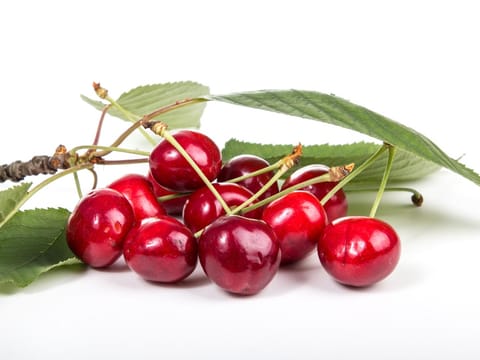 Cherry 'Stella'