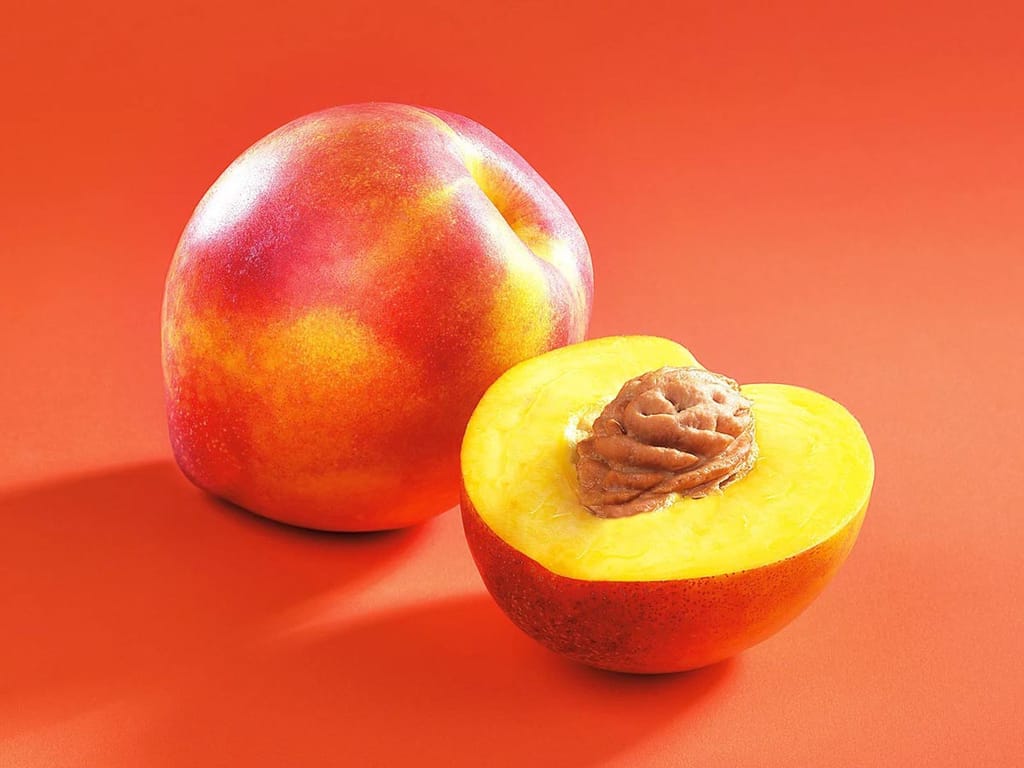 Peacharine 'Healy's' fruit, a whole smooth yellow, orange and red fruit beside a halved one showing yellow flesh and stone, on an orange background.
