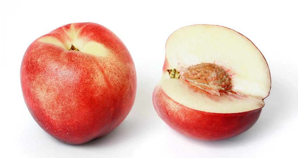 Nectarine 'Goldmine' fruit, one whole with smooth red-blushed skin and one halved to show creamy white flesh and the stone cavity.