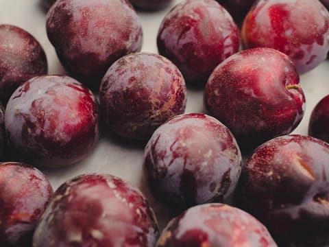 Plum 'Billington'