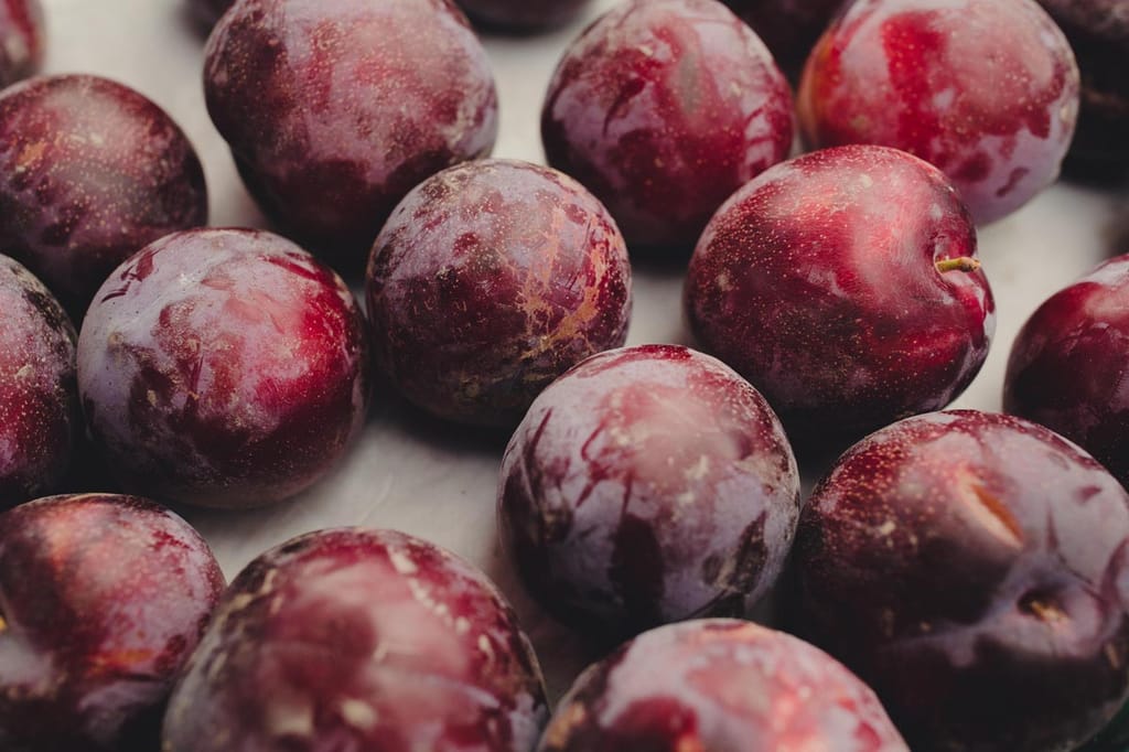 Close-up of ripe Plum 'Billington' (Prunus salicina, Japanese Plum) fruit with dark red-purple skin and a dusty bloom, resting on a pale surface.