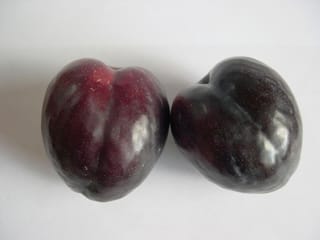 Two glossy dark red-purple Plum 'Black Doris' (Japanese Plum) fruit side by side on a plain white background, showing their fine speckled skin.