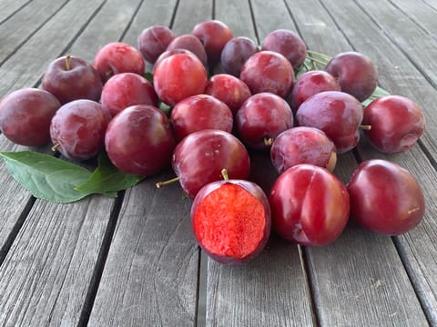 Plum 'Hawera'