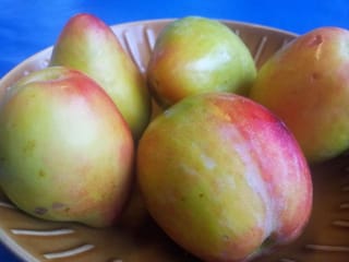 Plum 'Luisa' (Japanese Plum) fruit in a brown ceramic bowl, with large oval yellow-green skin blushed red and orange, against a blue background.